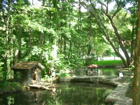 Teich mit kleinem Holzhaus unter hohen Bäumen im Mühlengarten